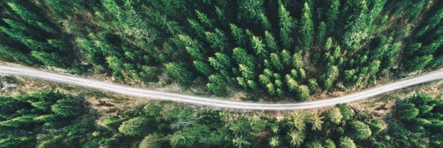 Real-Time Business: Are Your Payments Prepared?